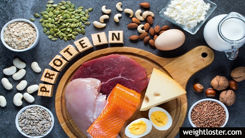 weight loss protein